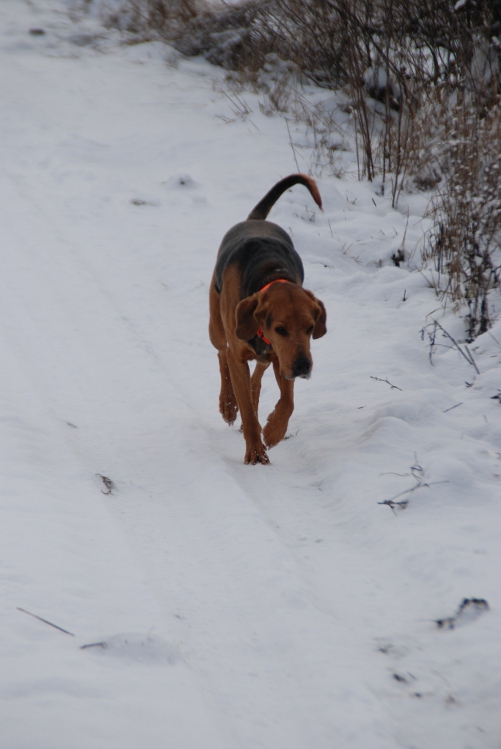 DSC_0056.JPG