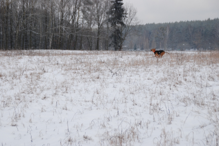 DSC_0062.JPG