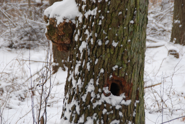 DSC_0089.JPG