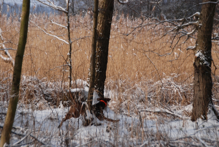 DSC_0099.JPG