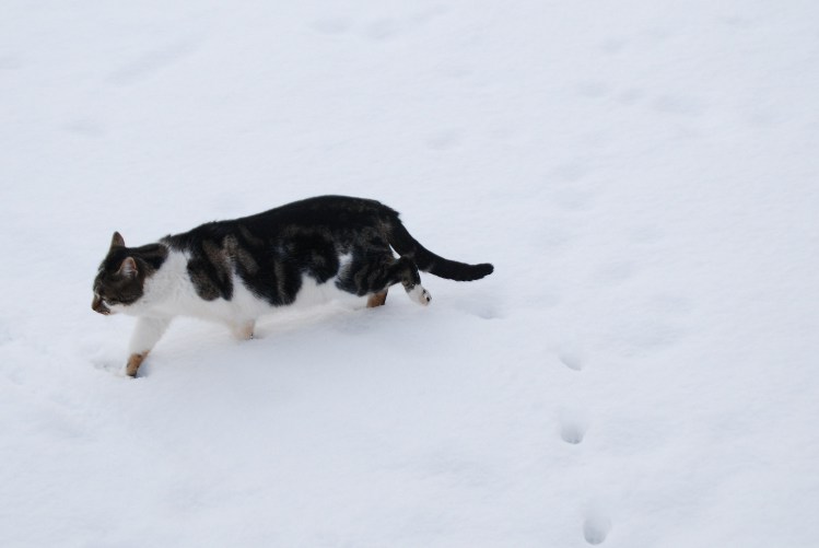 DSC_0109.JPG