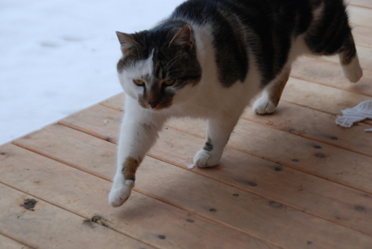 DSC_0122.JPG
