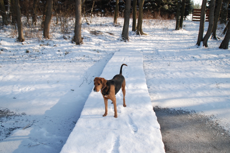 DSC_0012.JPG