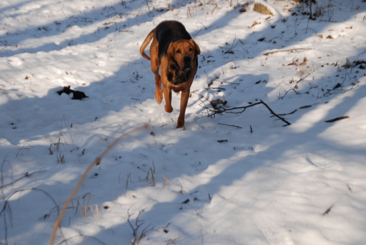 DSC_0020.JPG