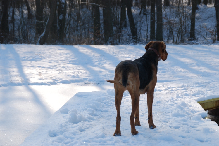 DSC_0039.JPG