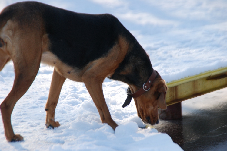 DSC_0041.JPG