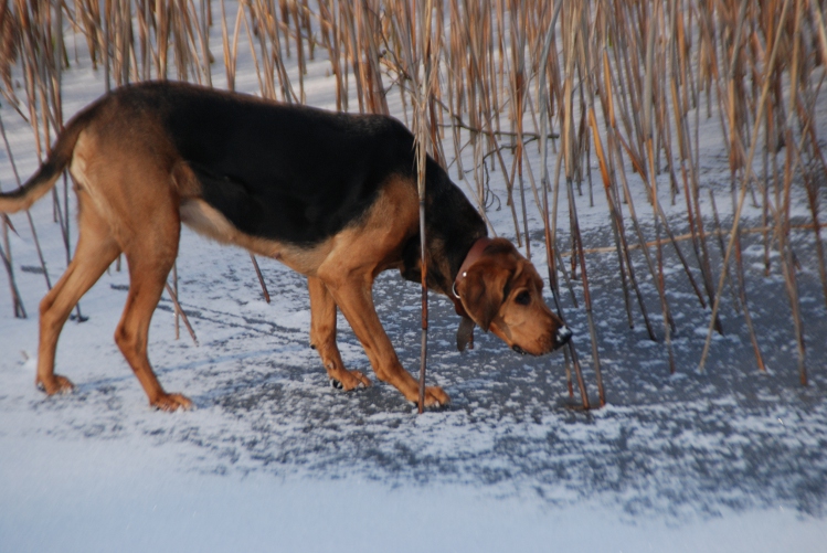 DSC_0054.JPG