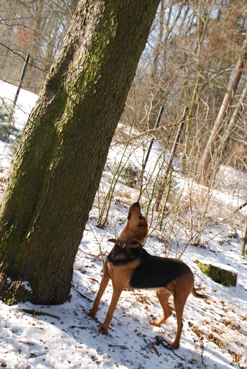 DSC_0062.JPG