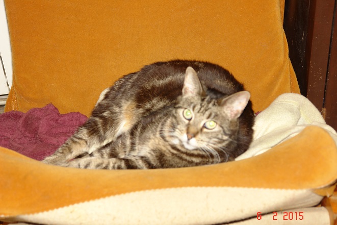 chudy.jpg