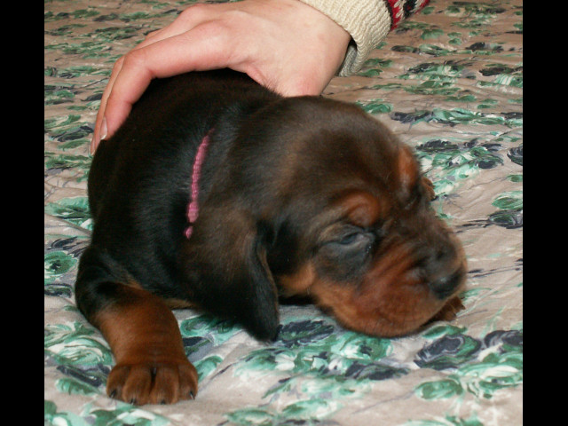 PICT0007.jpg