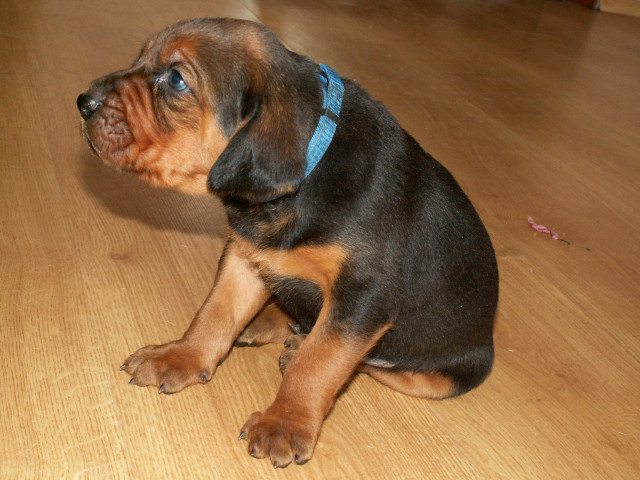 PICT0020.jpg