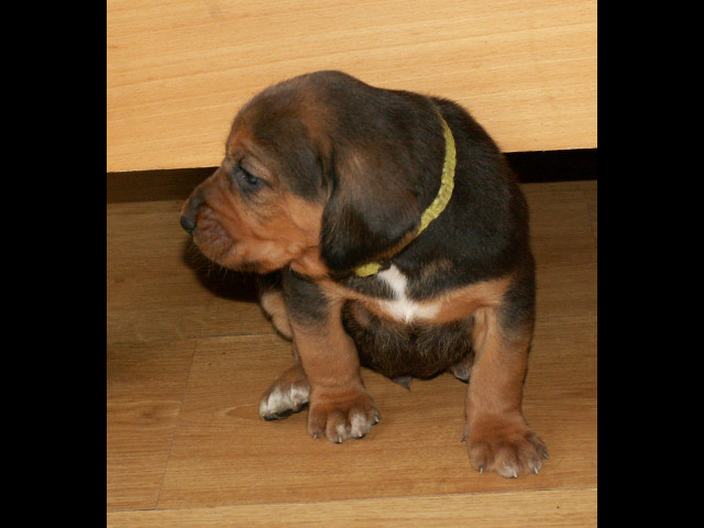 PICT0043.jpg