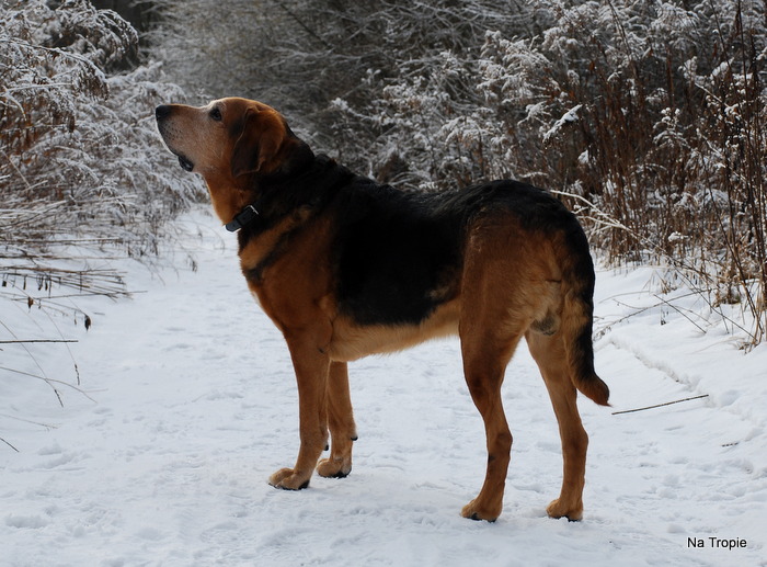 DSC_7614.JPG