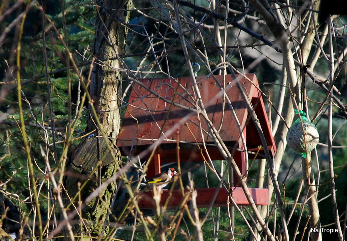 Bistro u Św. Franciszka