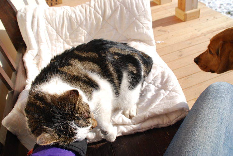 DSC_0092.JPG