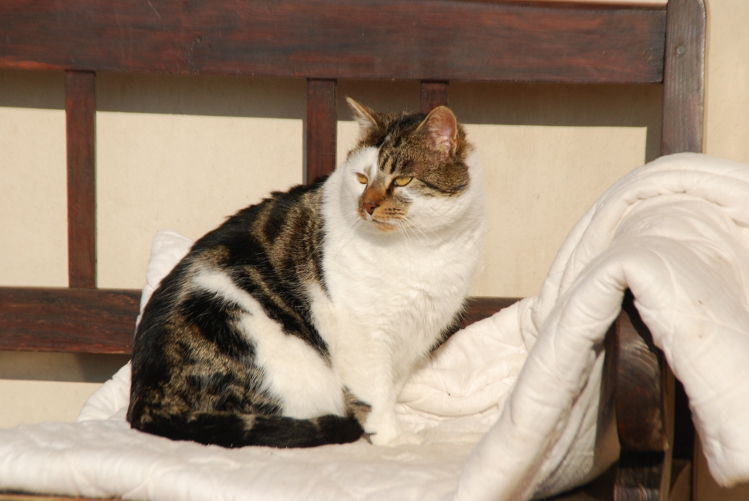 DSC_0004.JPG