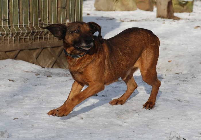 DSC_7793.JPG