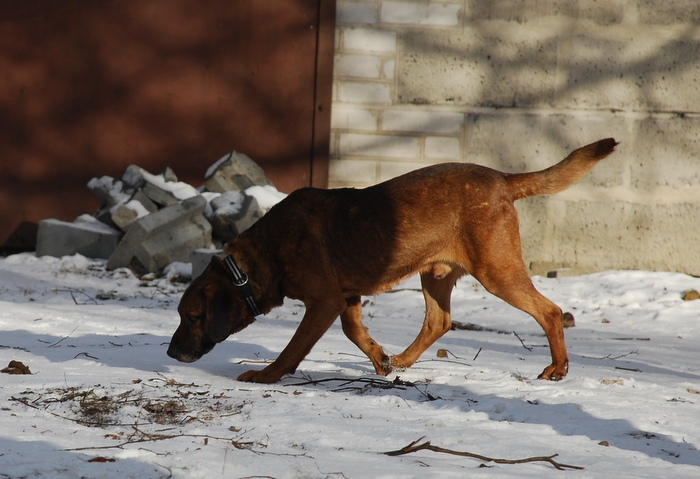 DSC_7796.JPG