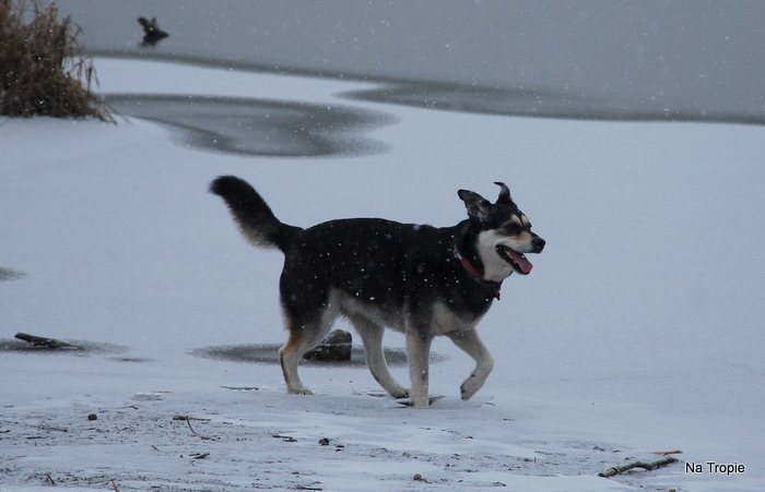 DSC_7681.JPG