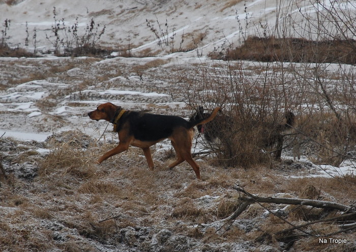 DSC_7690.JPG