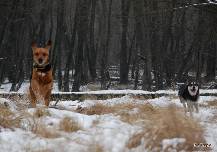 DSC_7736.JPG