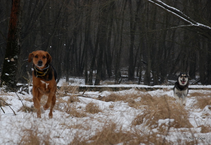 DSC_7737.JPG