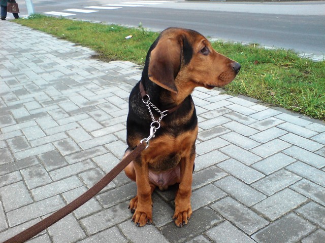 DSC00316.JPG
