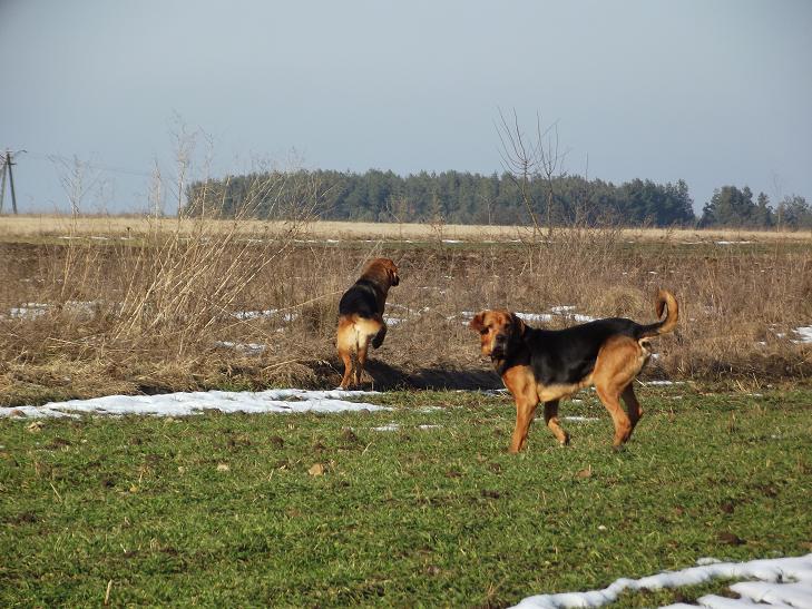 DSCF4377.JPG