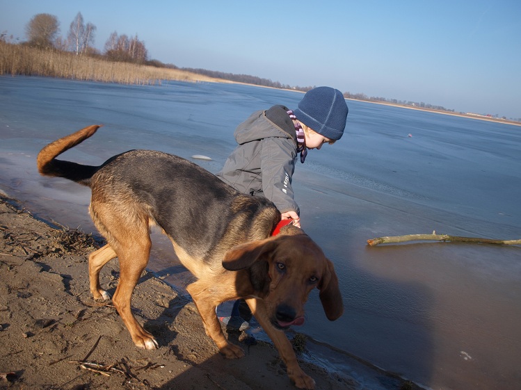 Dwa szkraby