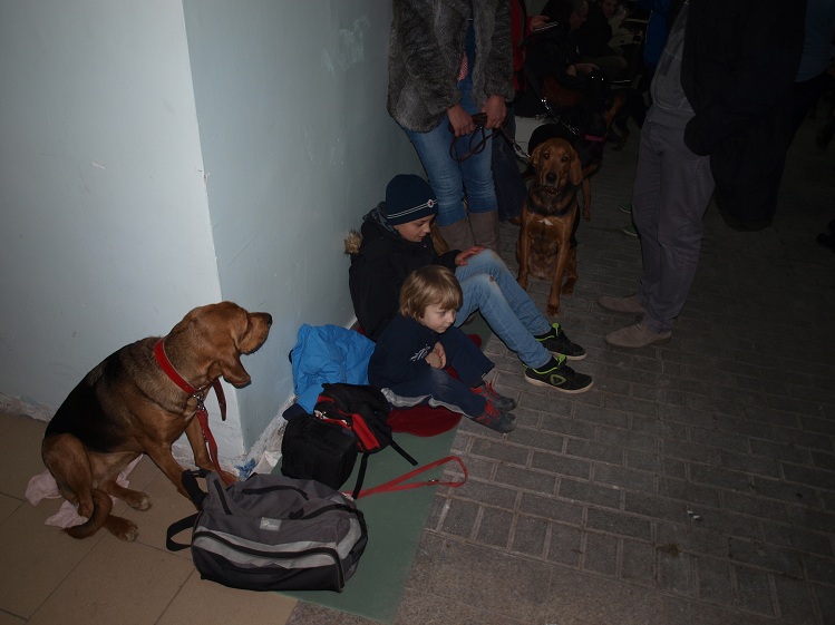Jak Rumuni na dworcu