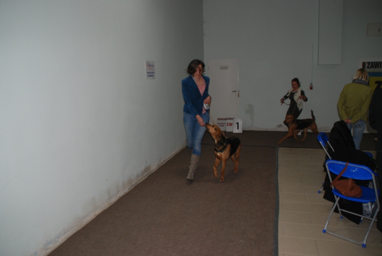 DSC_0446.JPG