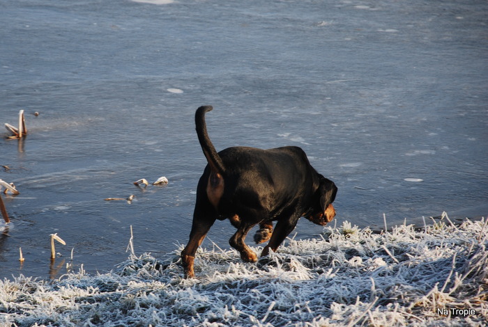 DSC_7853.JPG