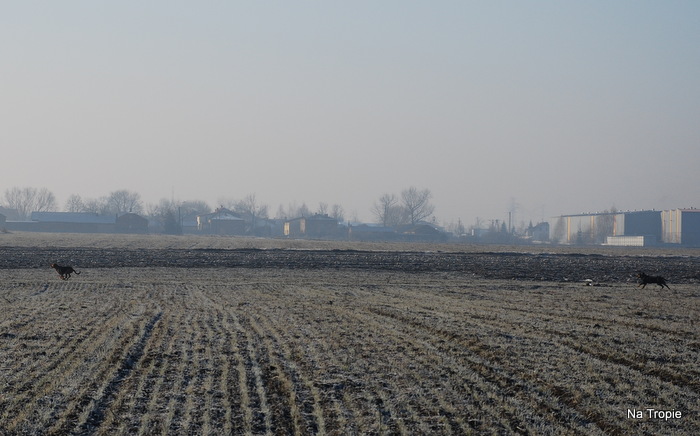 DSC_7872.JPG