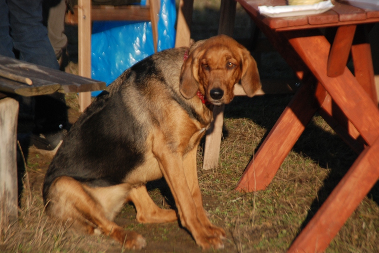 DSC_0385.JPG