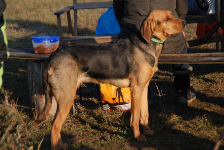 DSC_0398.JPG