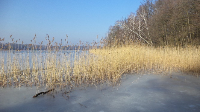 Pięknie(2).jpg