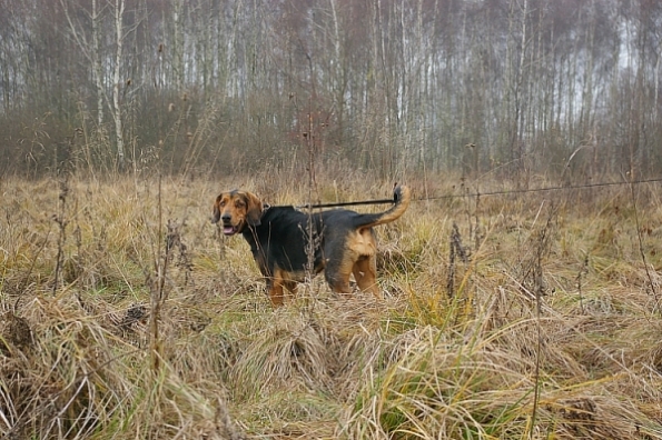 IMGP3188.jpg