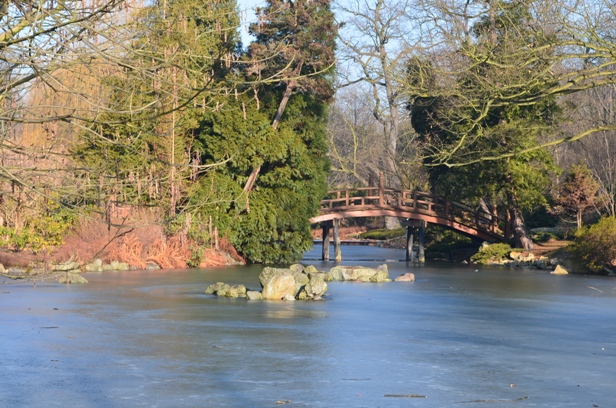park szczytnicki 02 2015_prawie ogród japoński2.JPG