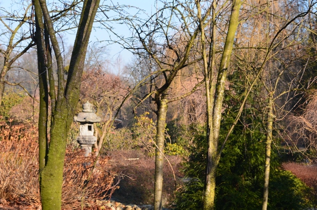 park szczytnicki 02 2015_ogród japoński przez płot.JPG