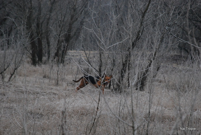 DSC_8060.JPG