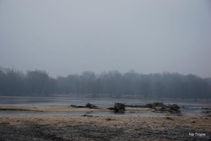 DSC_8093.JPG