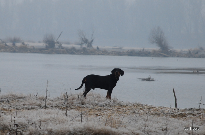 DSC_8100.JPG