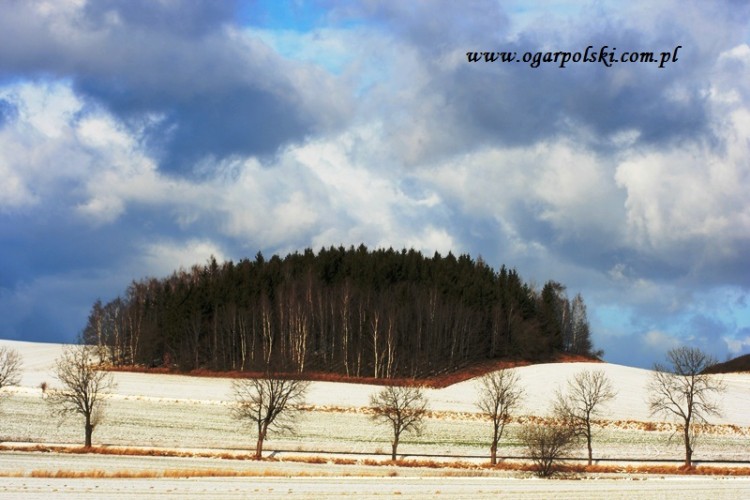 Zaświeciło słonko po śnieżnym poranku.