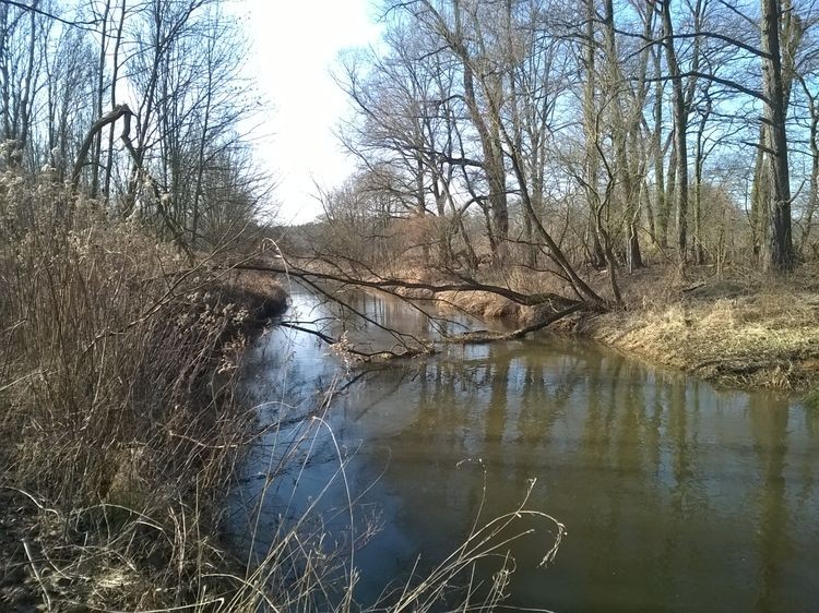 635597715613868861_wynik.jpg