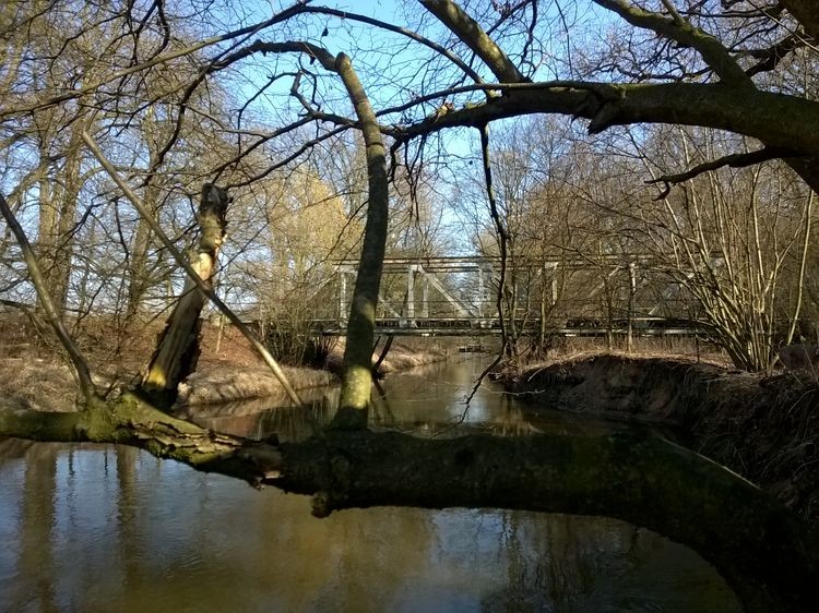 635597715767298969_wynik.jpg