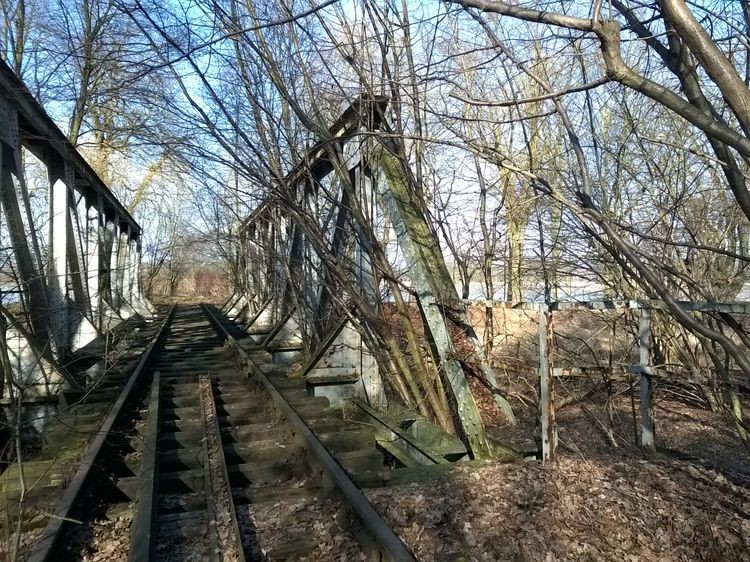 635597716414732780_wynik.jpg