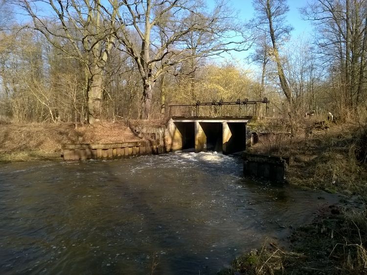 635597718500576748_wynik.jpg
