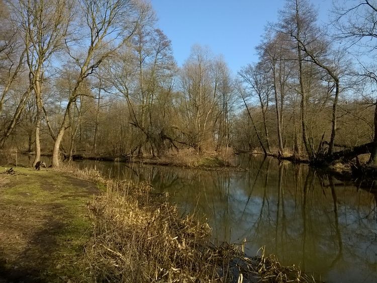 635597720432219856_wynik.jpg