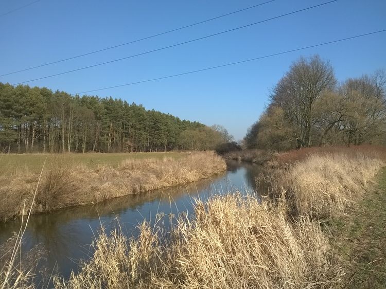 635597707903769366_wynik.jpg