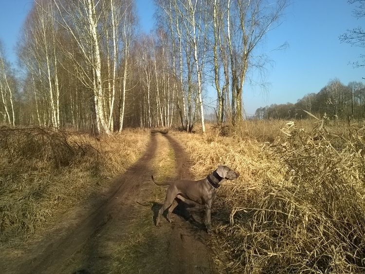 635597724423138646_wynik.jpg
